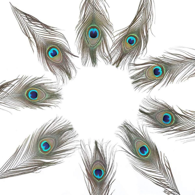 Plumas de Pavo Real Ballinger 25‑30 cm 24 uds Natural