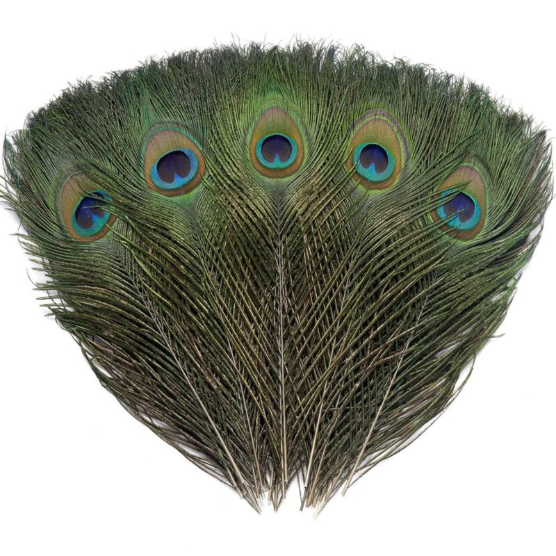 Plumas de Pavo Real Ballinger 25‑30 cm 24 uds Natural