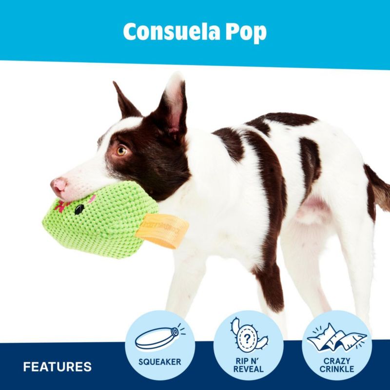 Juguete para perros BarkBox Consuela Cactus Pop – Grande