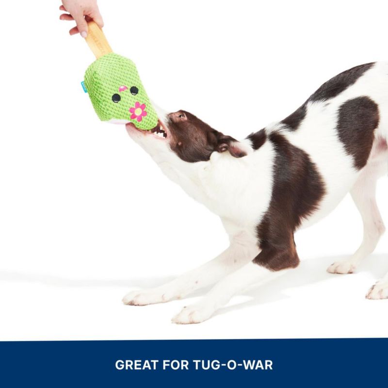 Juguete para perros BarkBox Consuela Cactus Pop – Grande
