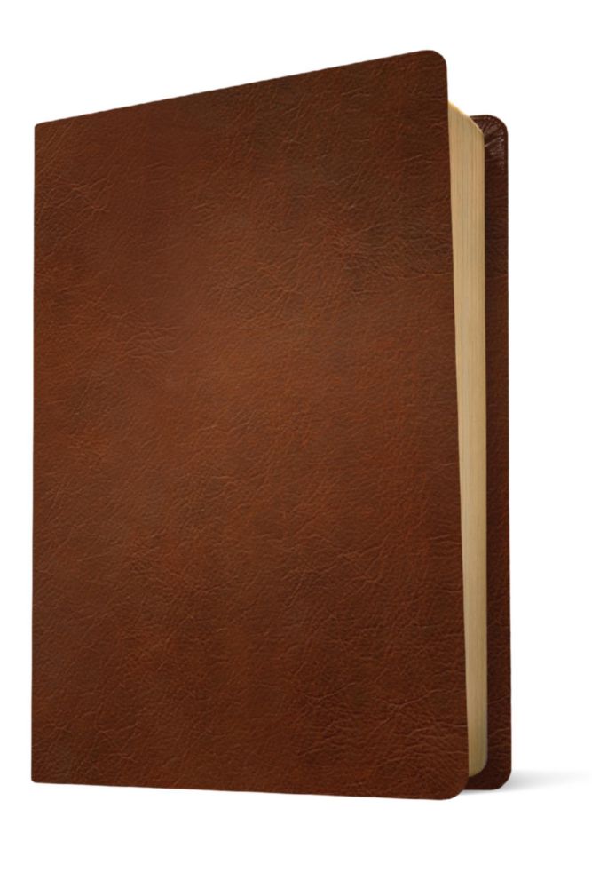 Biblia Tyndale House de Gran Formato con Tapa de Cuero Marrón