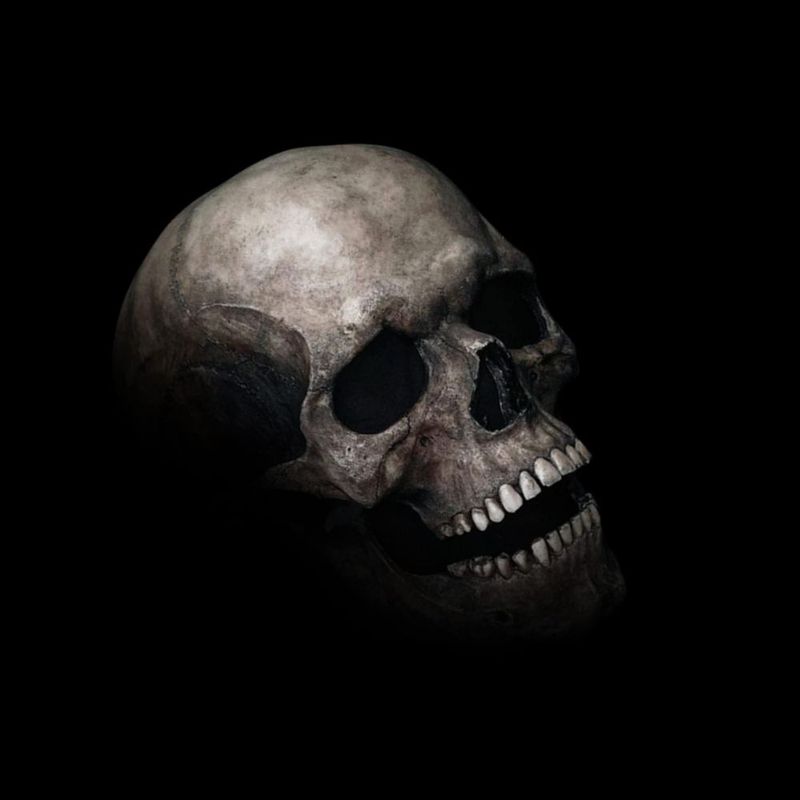 Máscara de Calavera Negra Kocuos con Mandíbula Móvil – Cubre Toda la Cabeza