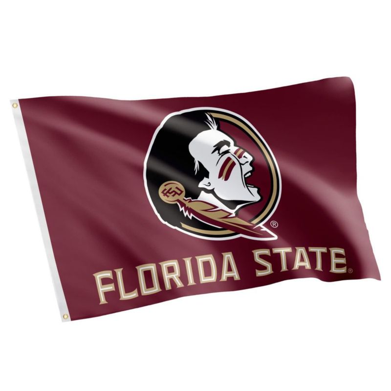 Bandera Desert Cactus 91 cm FSU Seminoles para exteriores