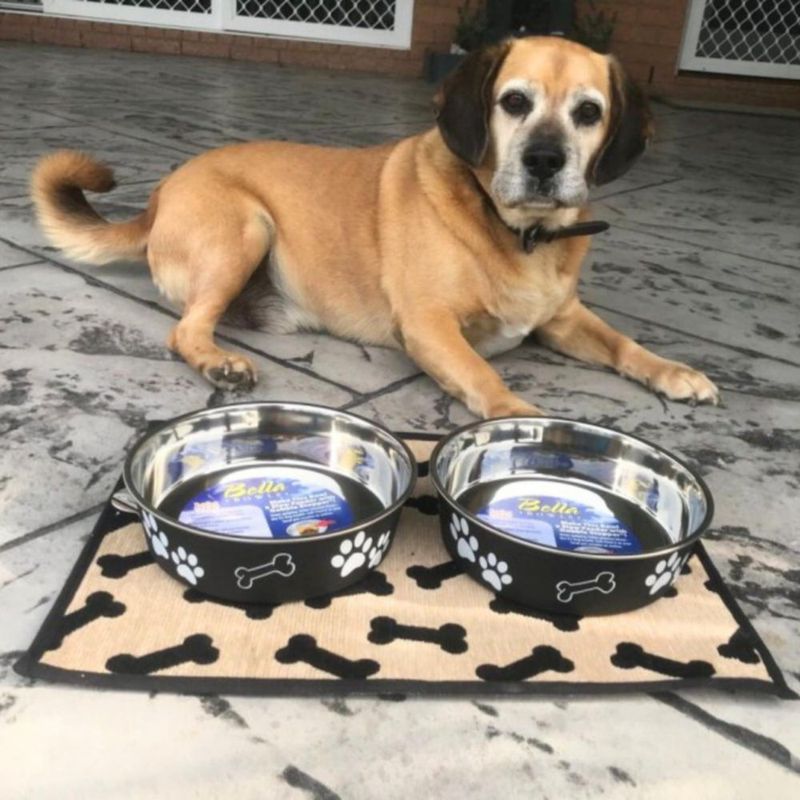 Cuenco para Perro Loving Pets 22 cm Espresso 15 L