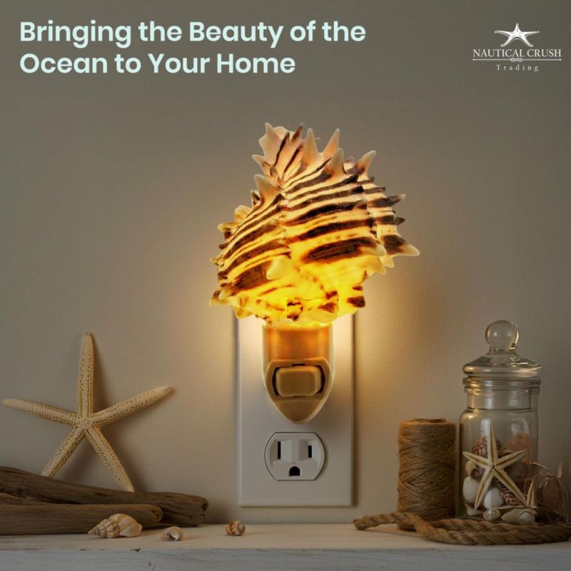Luz nocturna Nautical Crush Trading con concha de murex negra