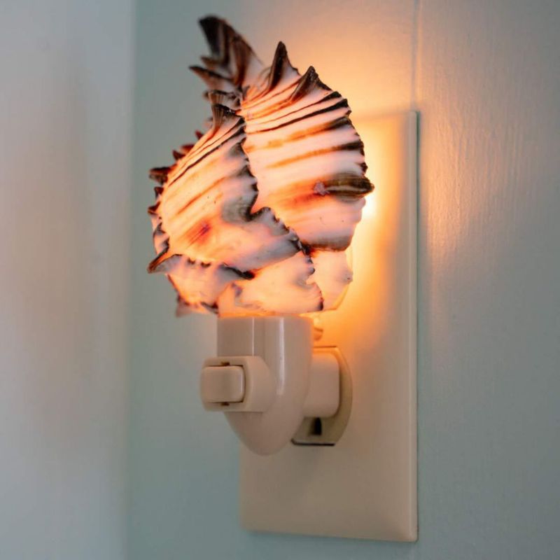 Luz nocturna Nautical Crush Trading con concha de murex negra