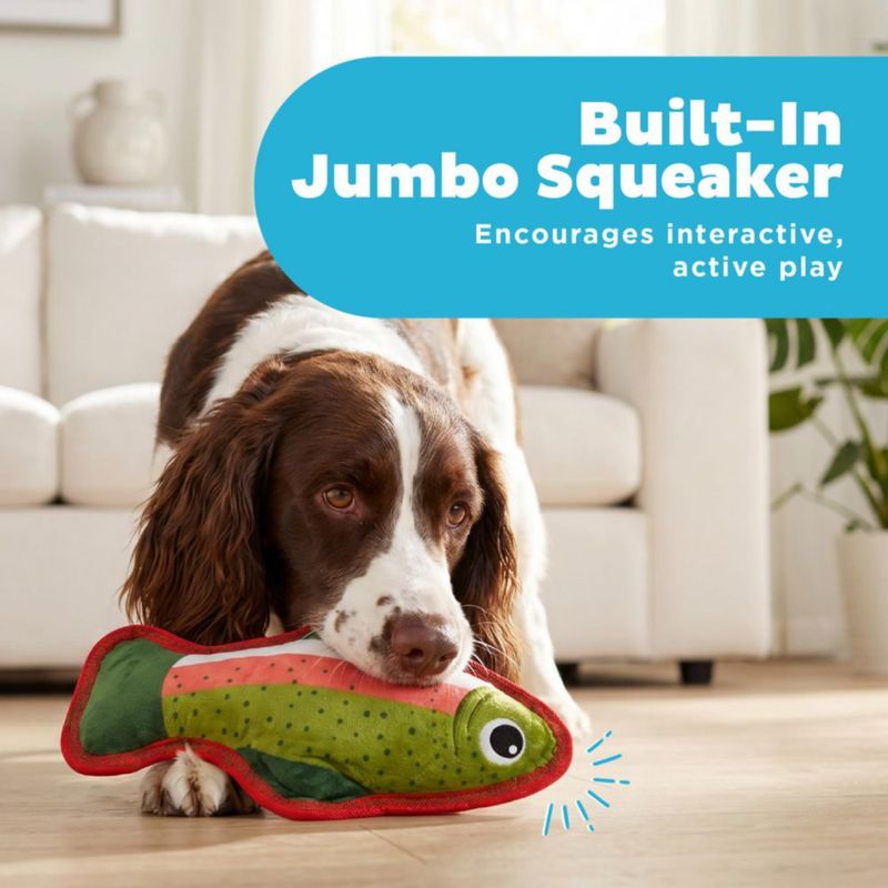 Juguete para perros Outward Hound 24 cm Trucha con sonajero