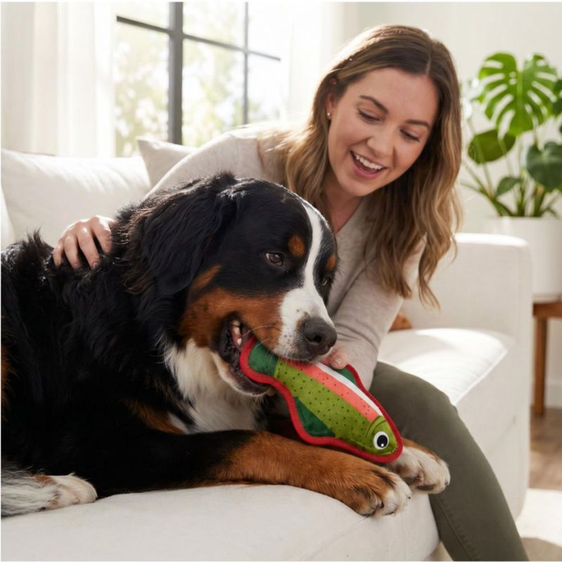 Juguete para perros Outward Hound 24 cm Trucha con sonajero