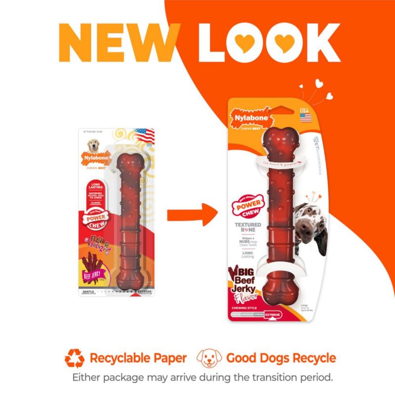 Nylabone Hueso Masticable Grande Sabor a Jerky de Res