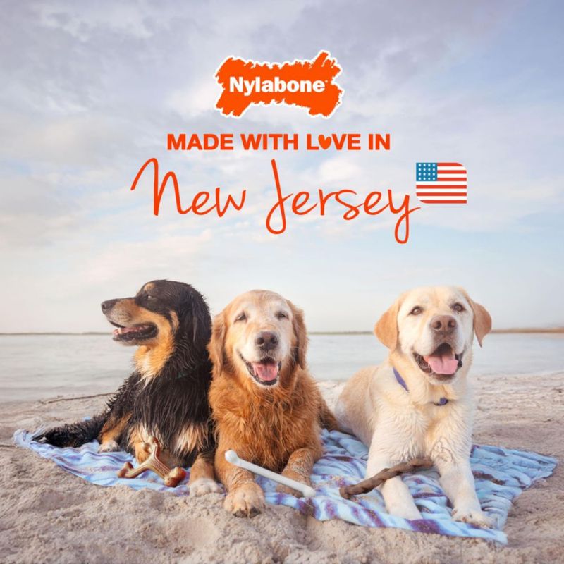 Nylabone Hueso Masticable Grande Sabor a Jerky de Res