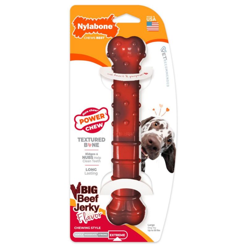 Nylabone Hueso Masticable Grande Sabor a Jerky de Res
