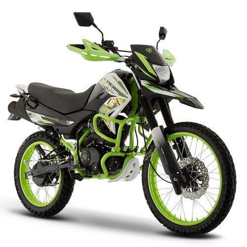 Motocicleta Doble Propósito Italika DM200 Verde con Blanco