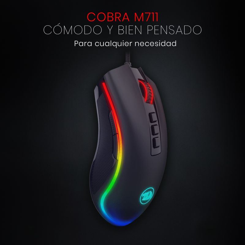 COBRA-NEGRO--2