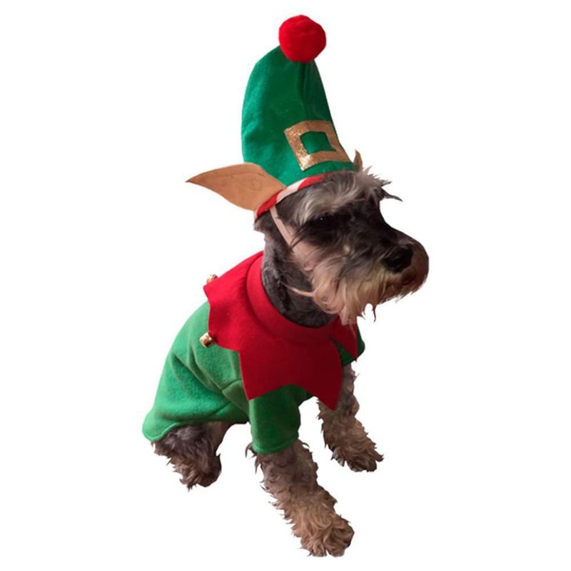 image-9bec111416d449579c33910e70e8ff26.jpeg