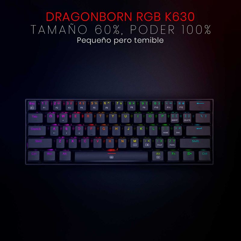DRAGONBORN-BROWN--2