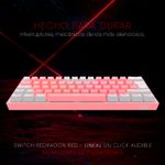 FizzProIng_PW--6