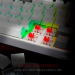FizzproIng_WG--5