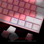 FizzProPW_Esp--5