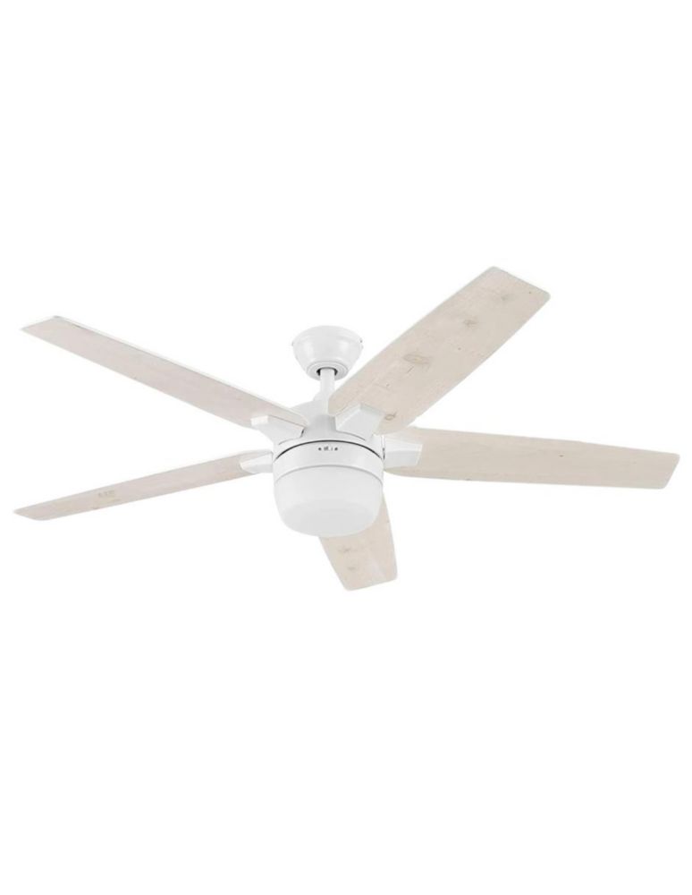 51648-Dorsey-Blanco