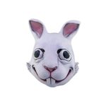 26494-Rabbit-1.jpeg
