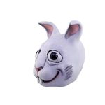 26494-Rabbit-5.jpeg