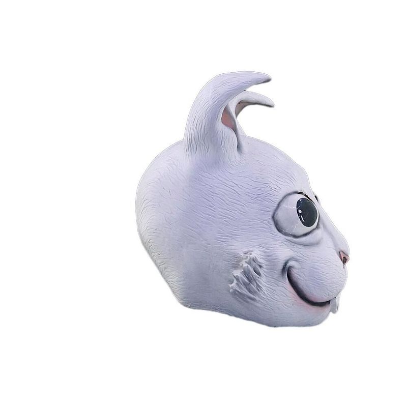 26494-Rabbit-3.jpeg