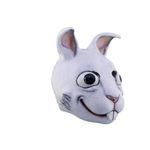 26494-Rabbit-2.jpeg