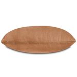 PETRA-6060-MAND-1