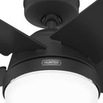 51609_K_detail3.jpeg