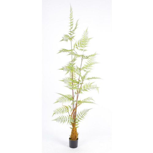 Helecho Decorativo Verde con Maceta Negra (Alto: 180cm)