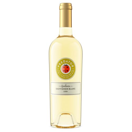 Pack de 12 Vino Blanco Predator Sauvignon Blanc 750 ml