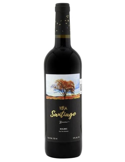 Vino Tinto Viña Santiago Malbec 750 ml