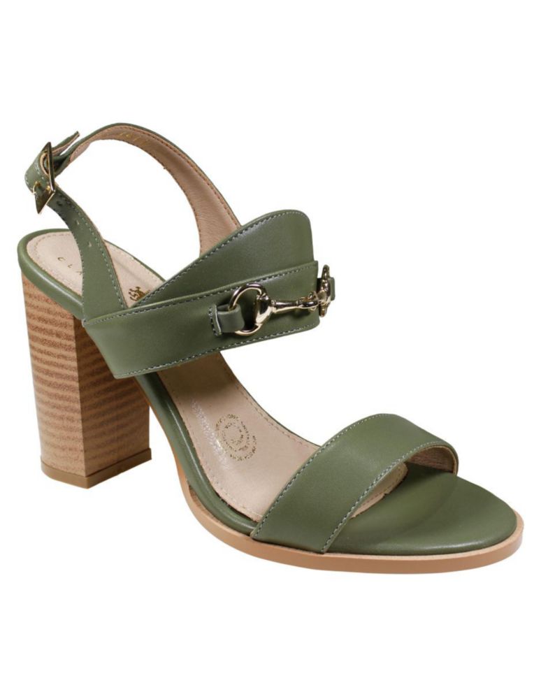 claudio-rocco---cr-1411-verde-selva---principal--1-