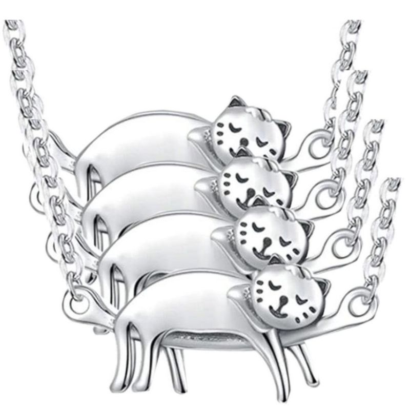 Collar-de-Animales-de-Gatos-MXTNG-004.jpeg