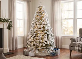 Navidad